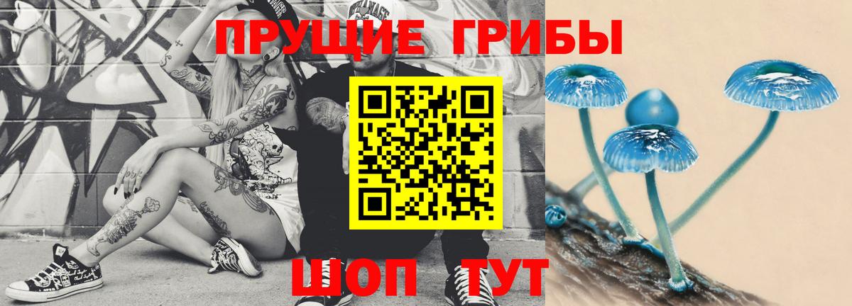 Артём  как найти закладки  Вход с VPN  Галлюциногенные грибы мухоморы 